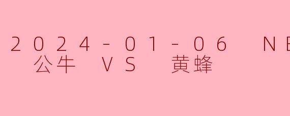 2024-01-06 NBA常规赛 公牛 VS 黄蜂